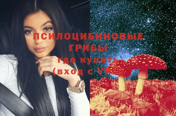 сатива Кодинск