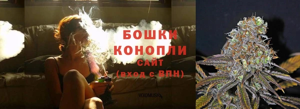 сатива Кодинск