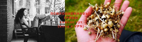 мдпв Козловка