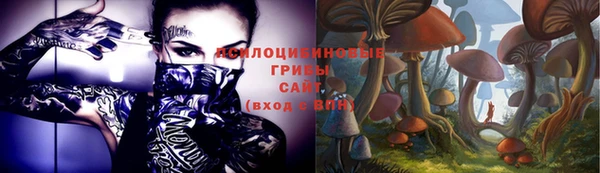 мдпв Козловка
