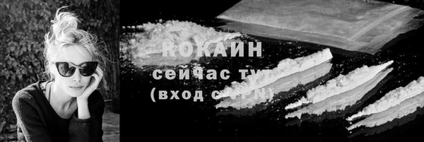 мдпв Козловка