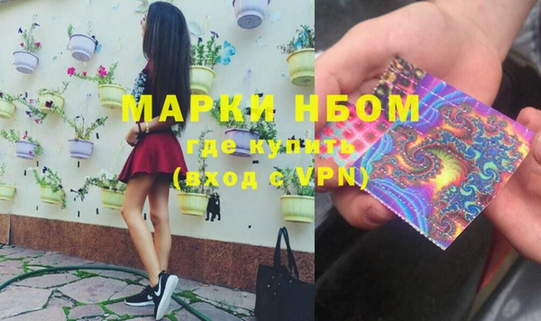 сатива Кодинск