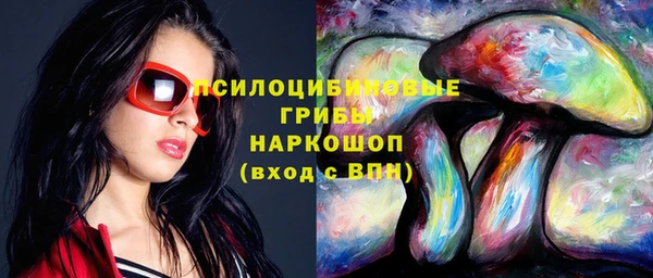 сатива Кодинск