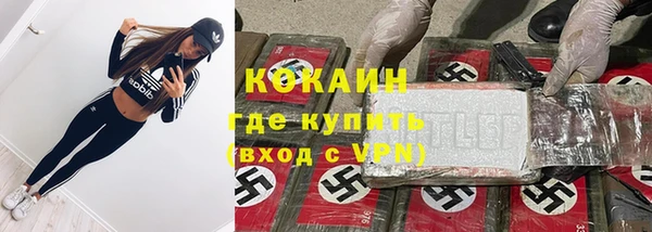 сатива Кодинск