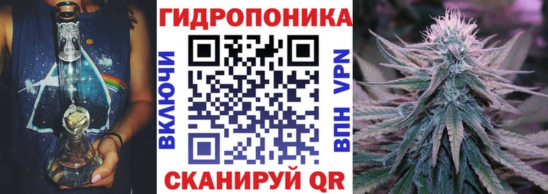 MEGA ONION  Чухлома  МАРИХУАНА план 